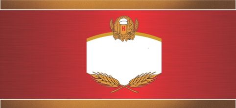 Preview da Personalização