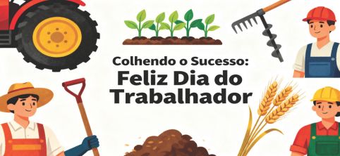 Preview da Personalização